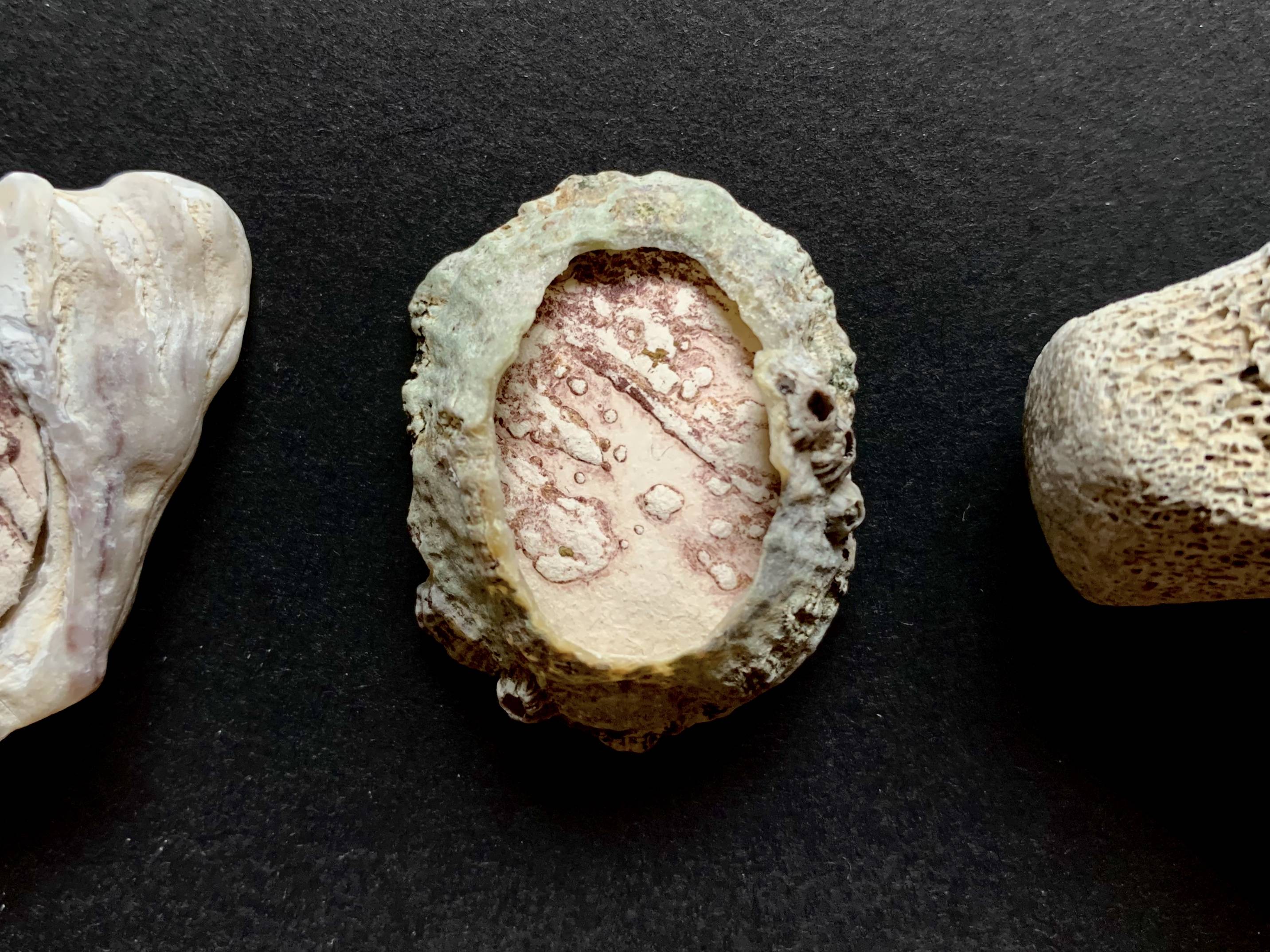 Product thumbnail #2