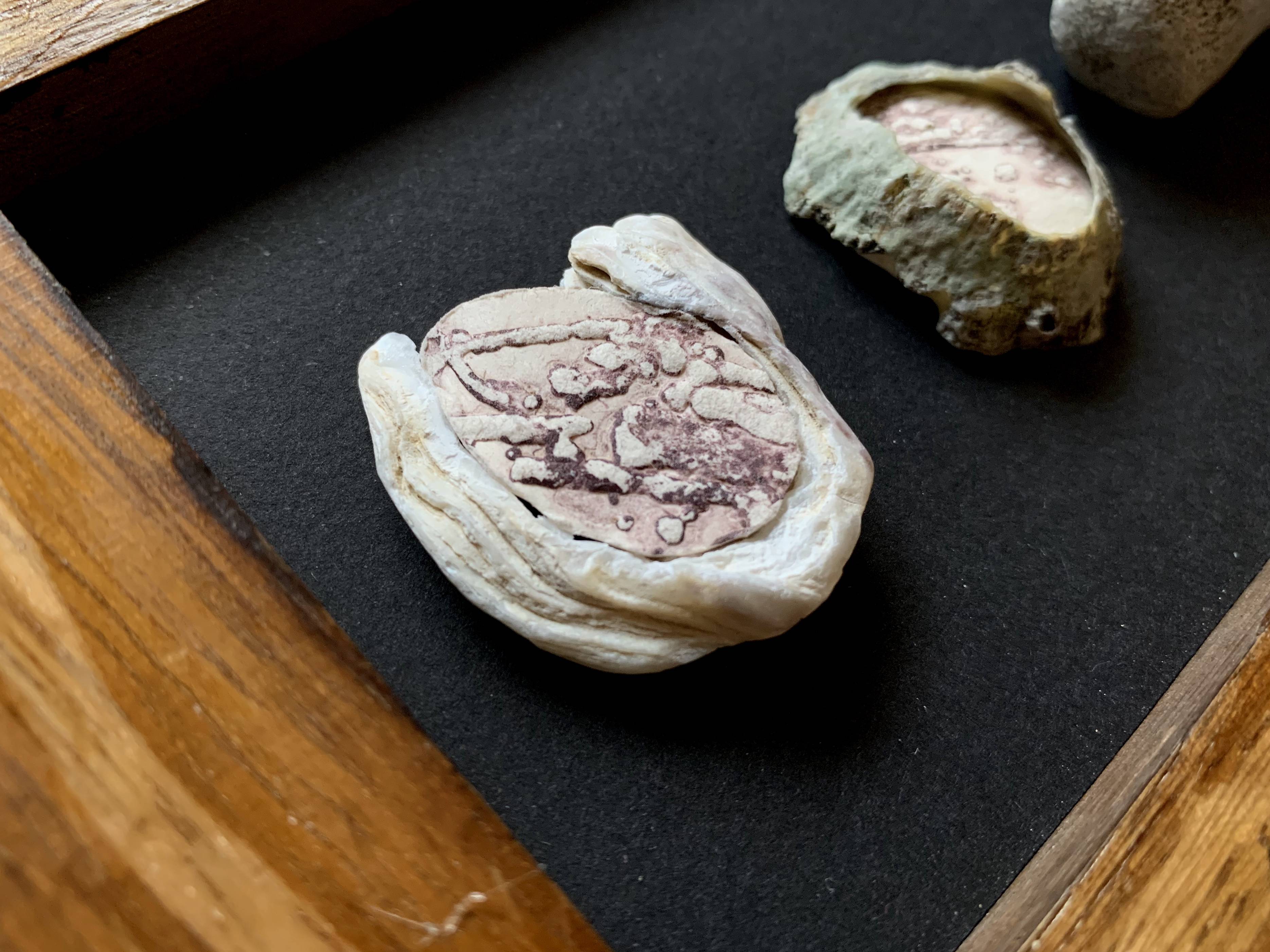 Product thumbnail #1